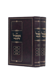 משכיל לדוד שני כרכים